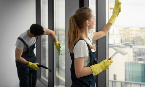 Mytí oken a skleněných ploch